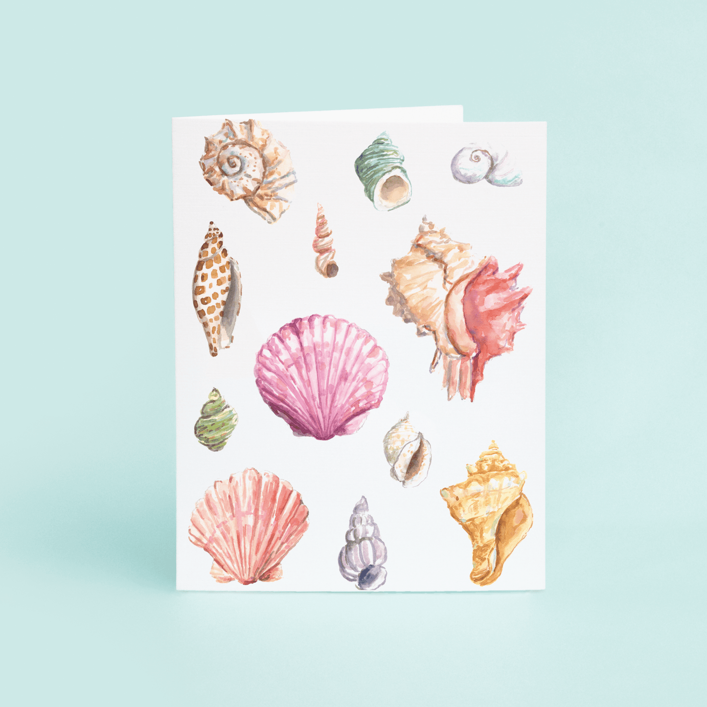Seashells - themonogram manor 