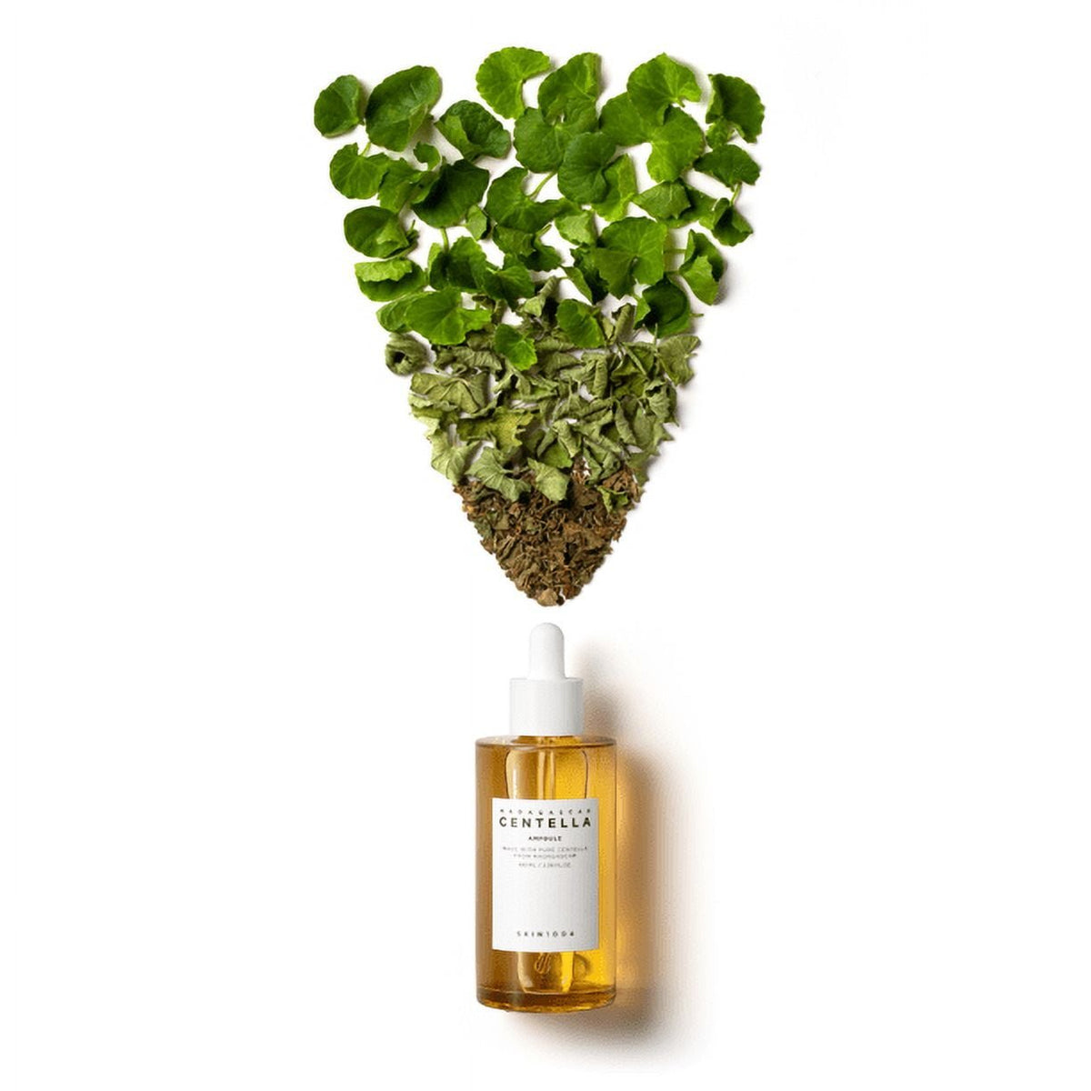 Madagascar Centella Ampoule 100Ml - themonogram manor 