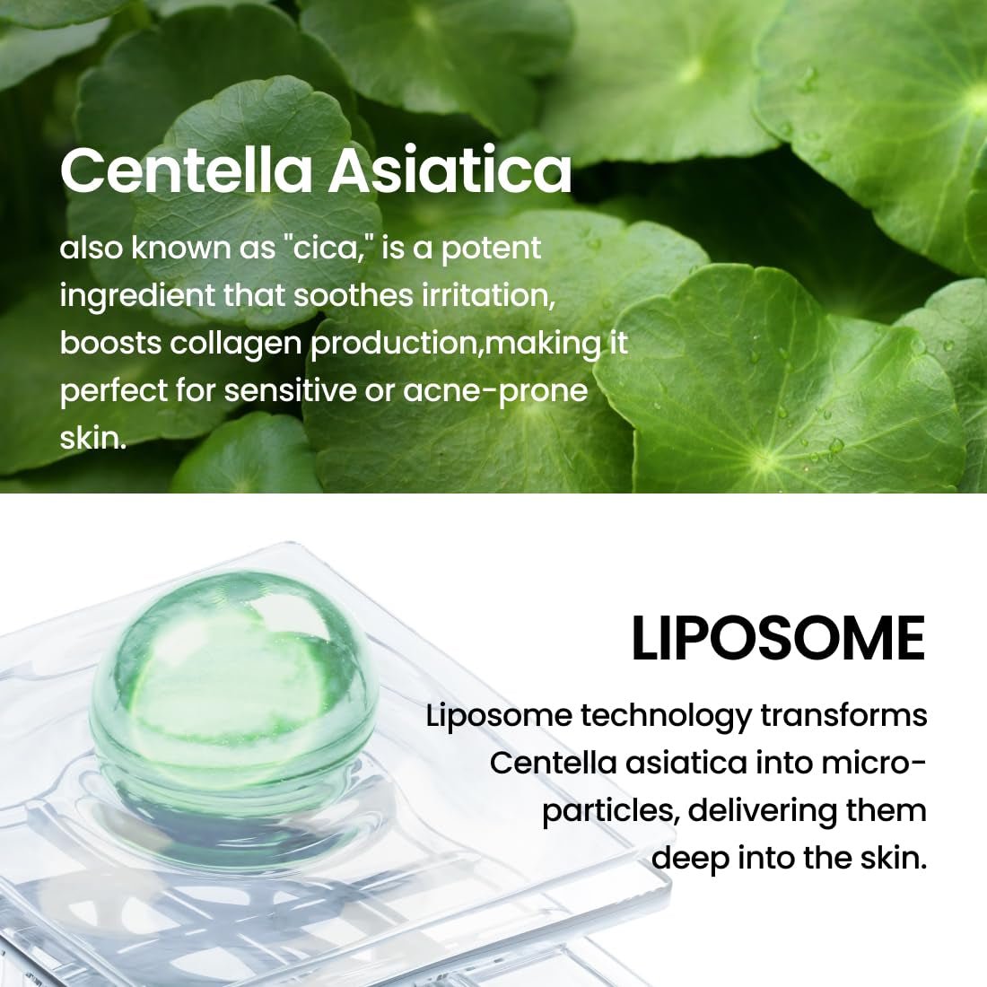 Liposome Daily Cleansing Oil, Gentle Makeup & Blackhead Remover for Sensitive Skin with Centella Asiatica TECA, Korean Skincare for Trouble Care (6.76 Fl. Oz., 200Ml) - themonogram manor 
