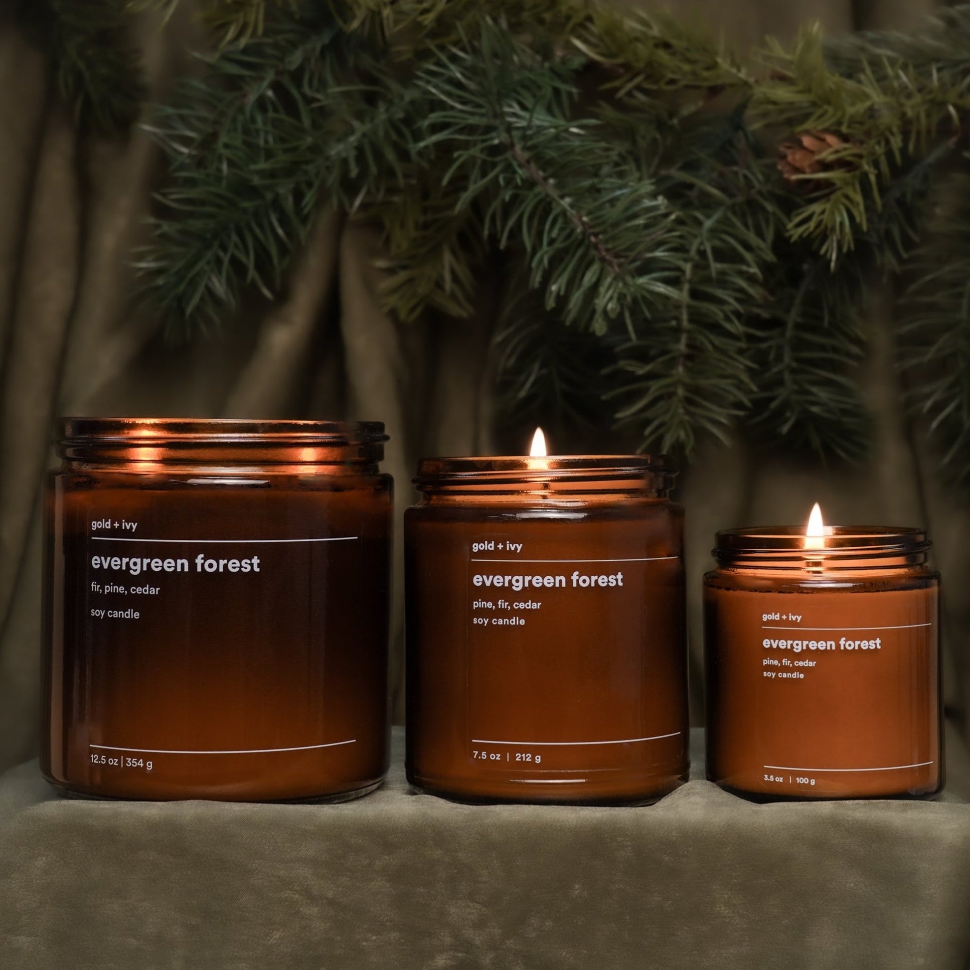 evergreen forest - themonogram manor 