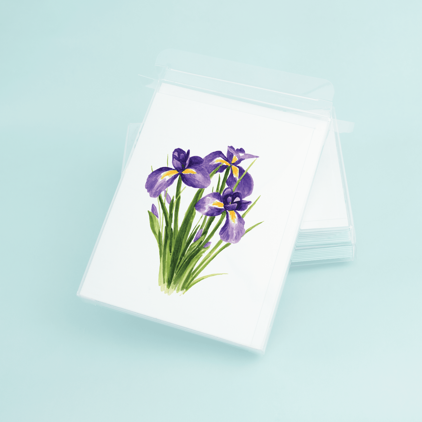 Louisiana Iris - themonogram manor 