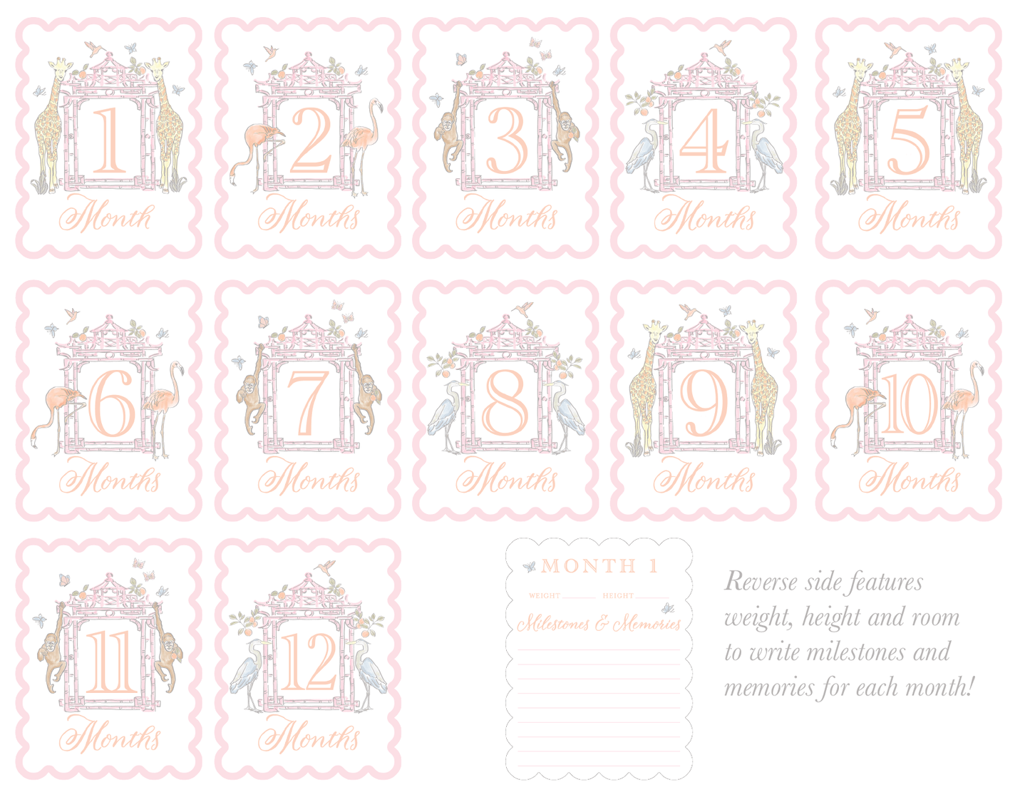 Watercolor Baby Milestone Cards - themonogram manor 