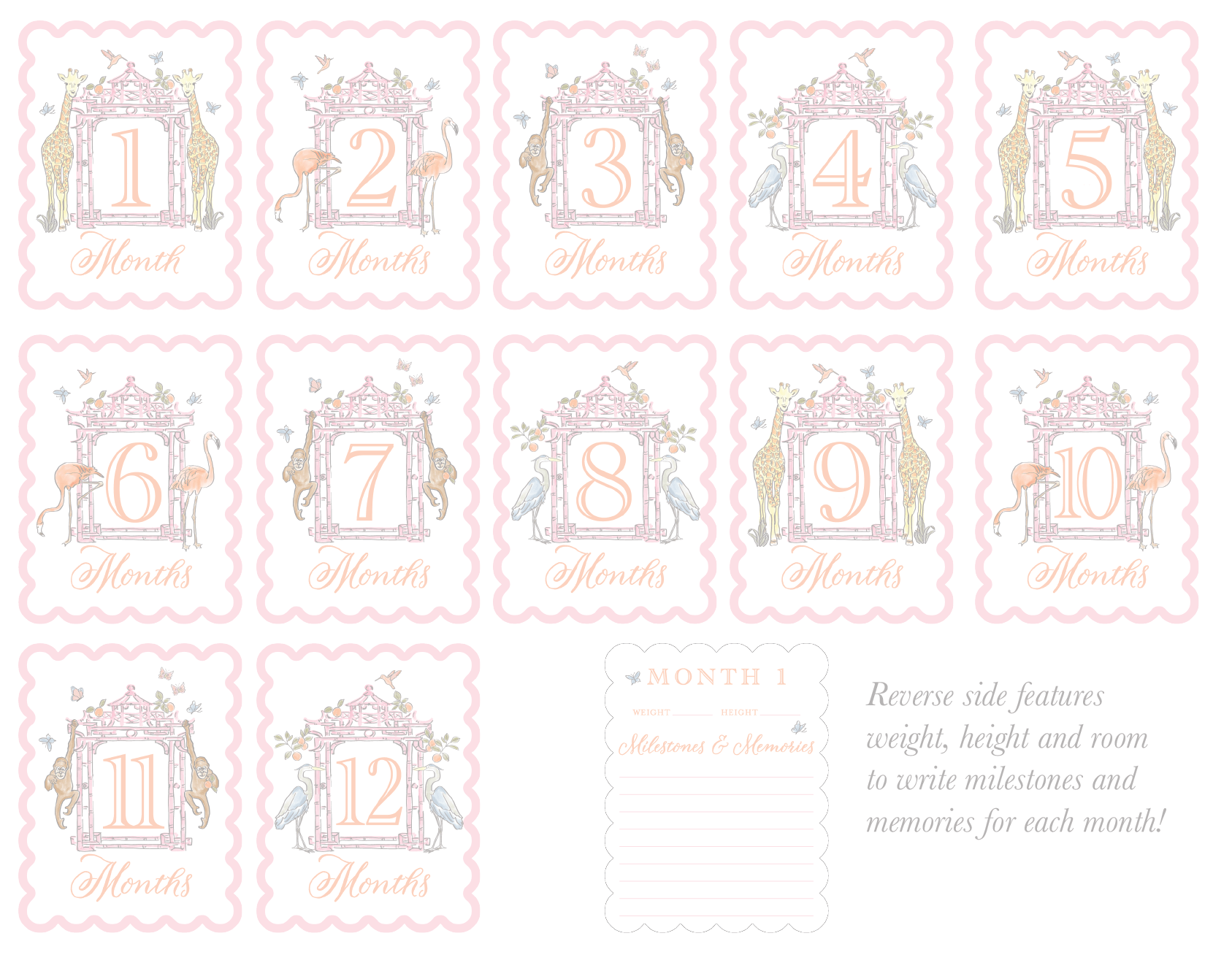 Watercolor Baby Milestone Cards - themonogram manor 