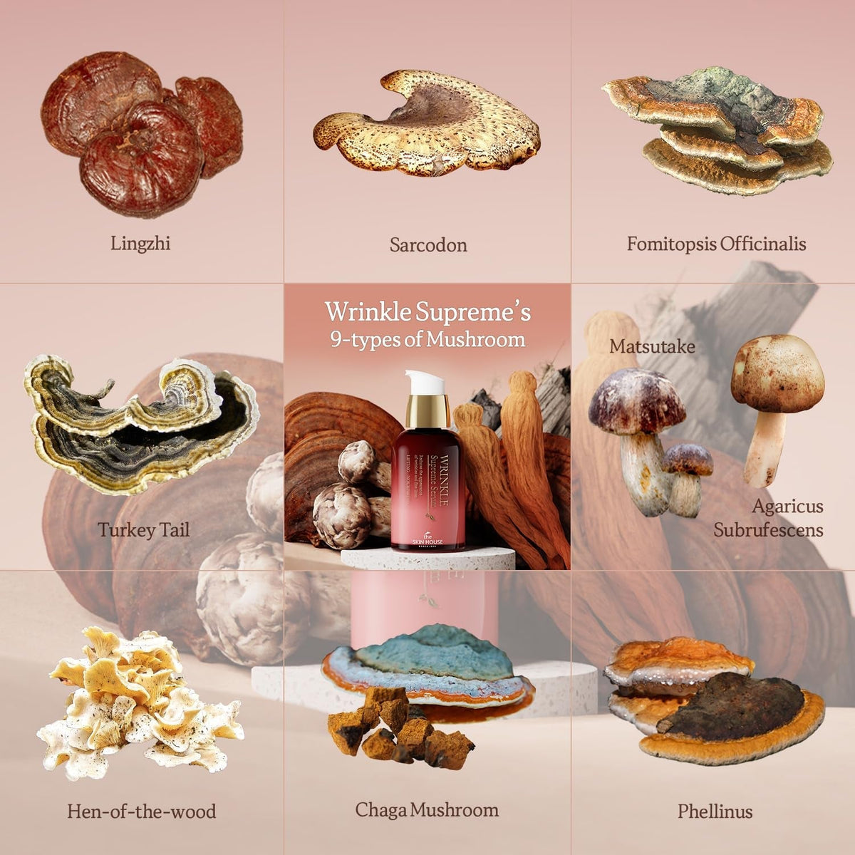 Wrinkle Supreme Serum 0.67 Fl. Oz. Trial-Size, Korean Red Ginseng, Mushrooms | Firming, Lifting, Fine Lines | Korean Skin Care, K-Beauty, 20Ml - themonogram manor 