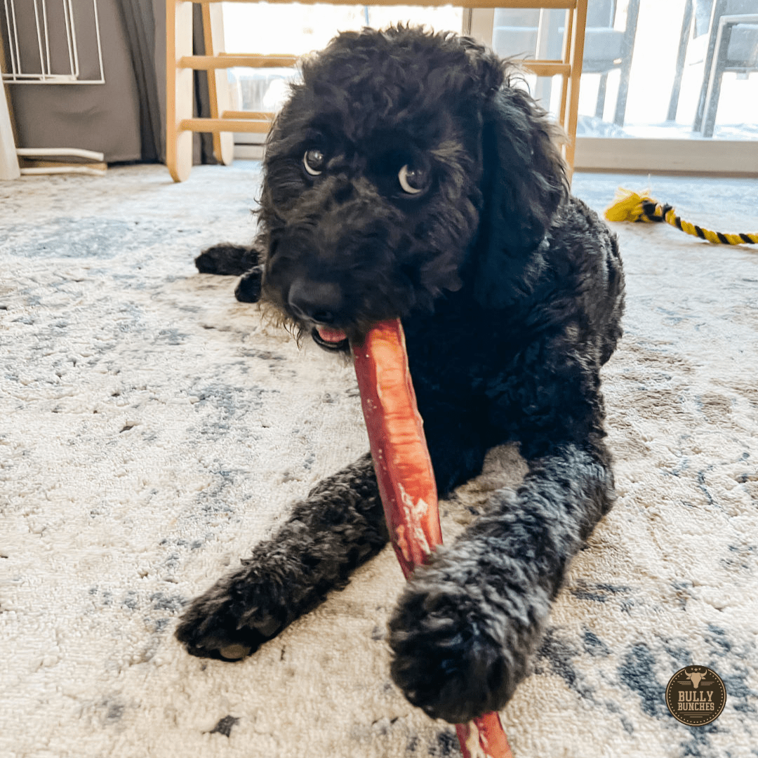12 Inch Monster Bully Stick - themonogram manor 