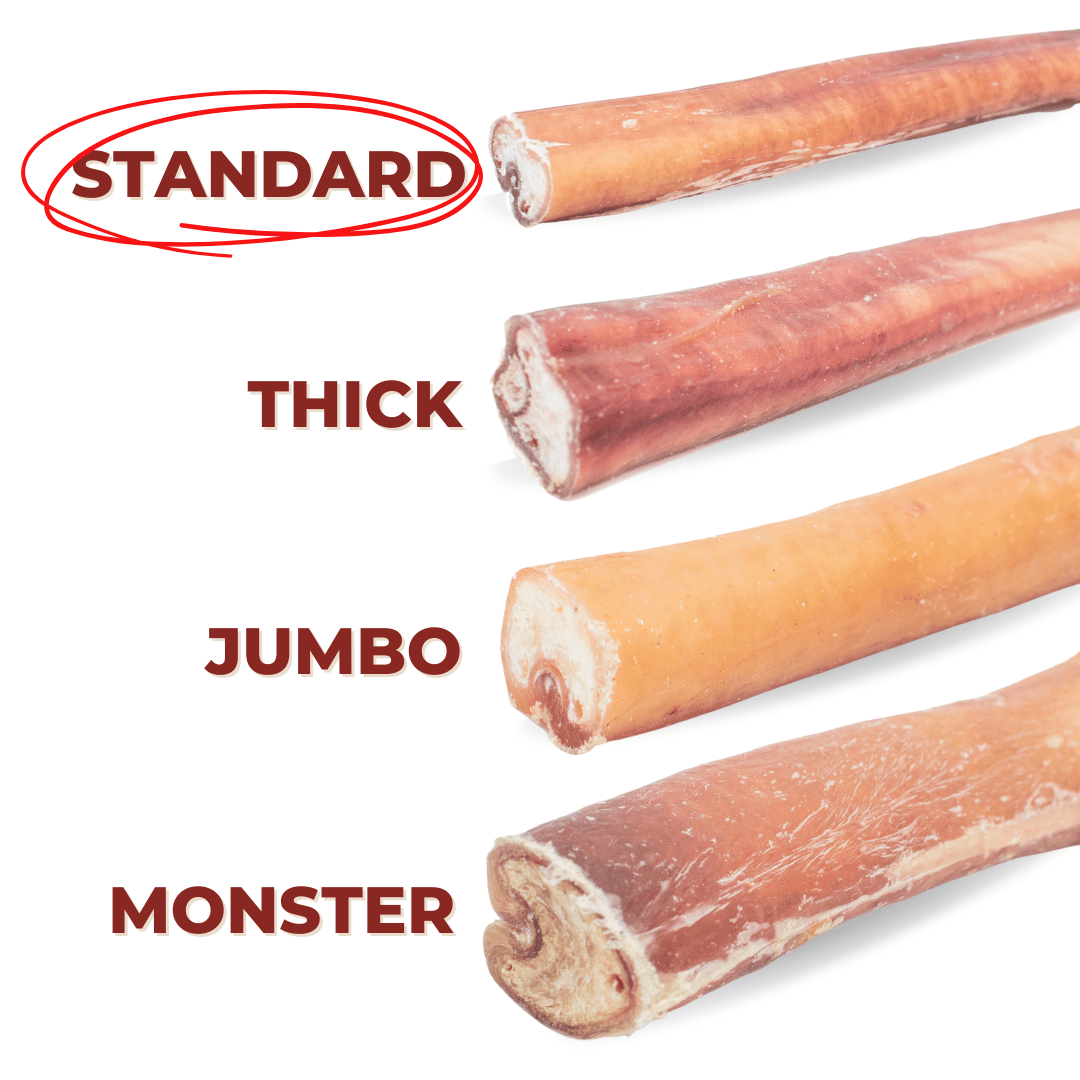 12 Inch Standard Bully Stick - themonogram manor 