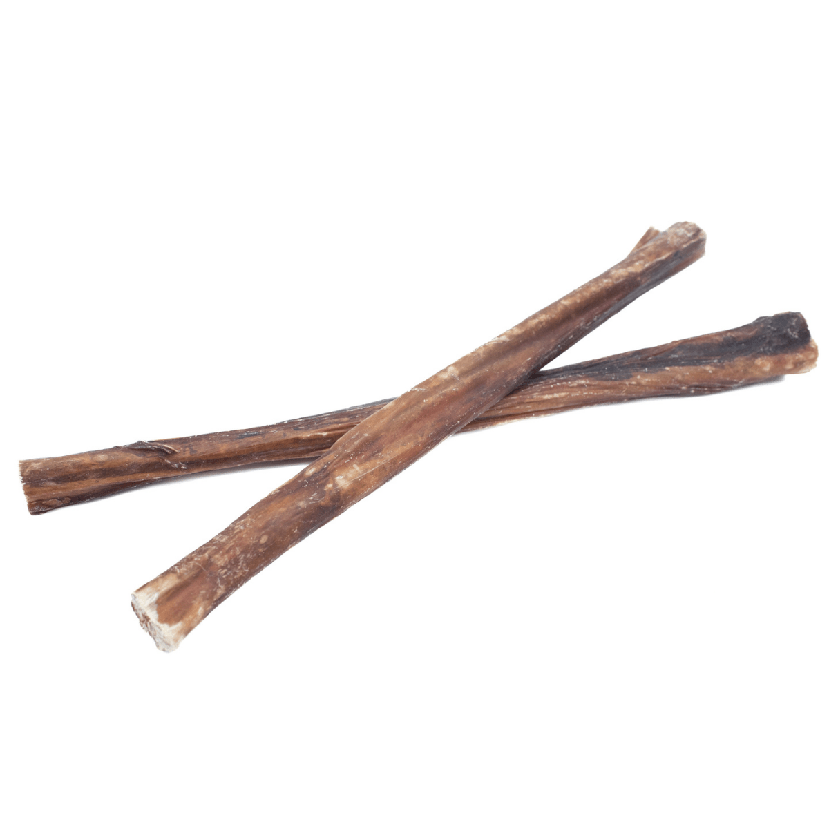 10-12 Inch Champion Chew - themonogram manor 