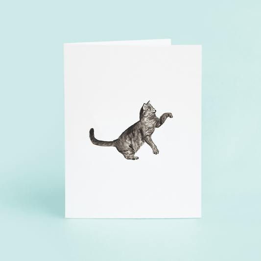Tabby Cat - themonogram manor 