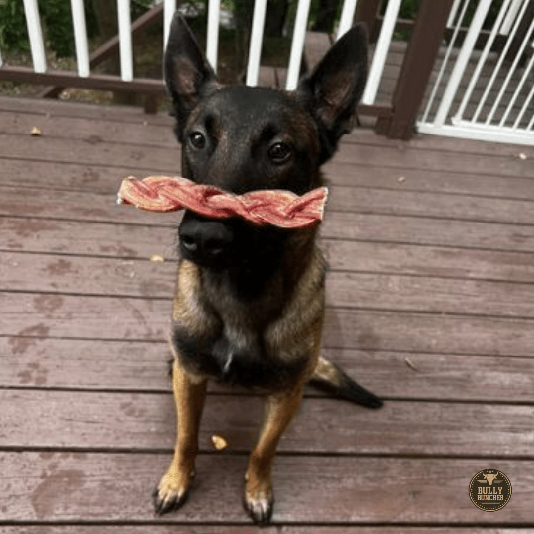 6 Inch Monster Braided Bully Stick - themonogram manor 