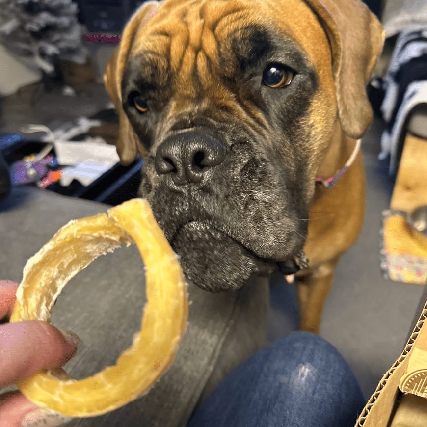 Beef Backstrap Ring - themonogram manor 