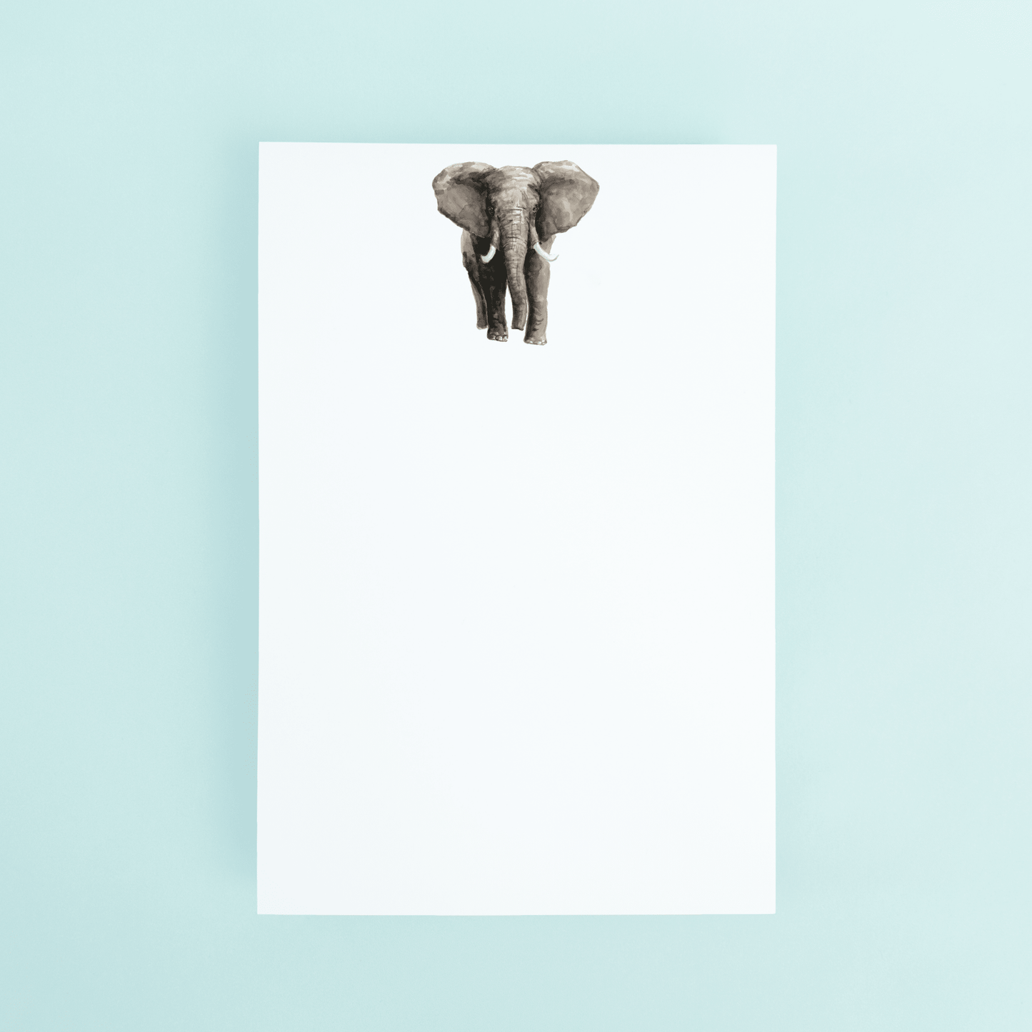 Elephant - themonogram manor 