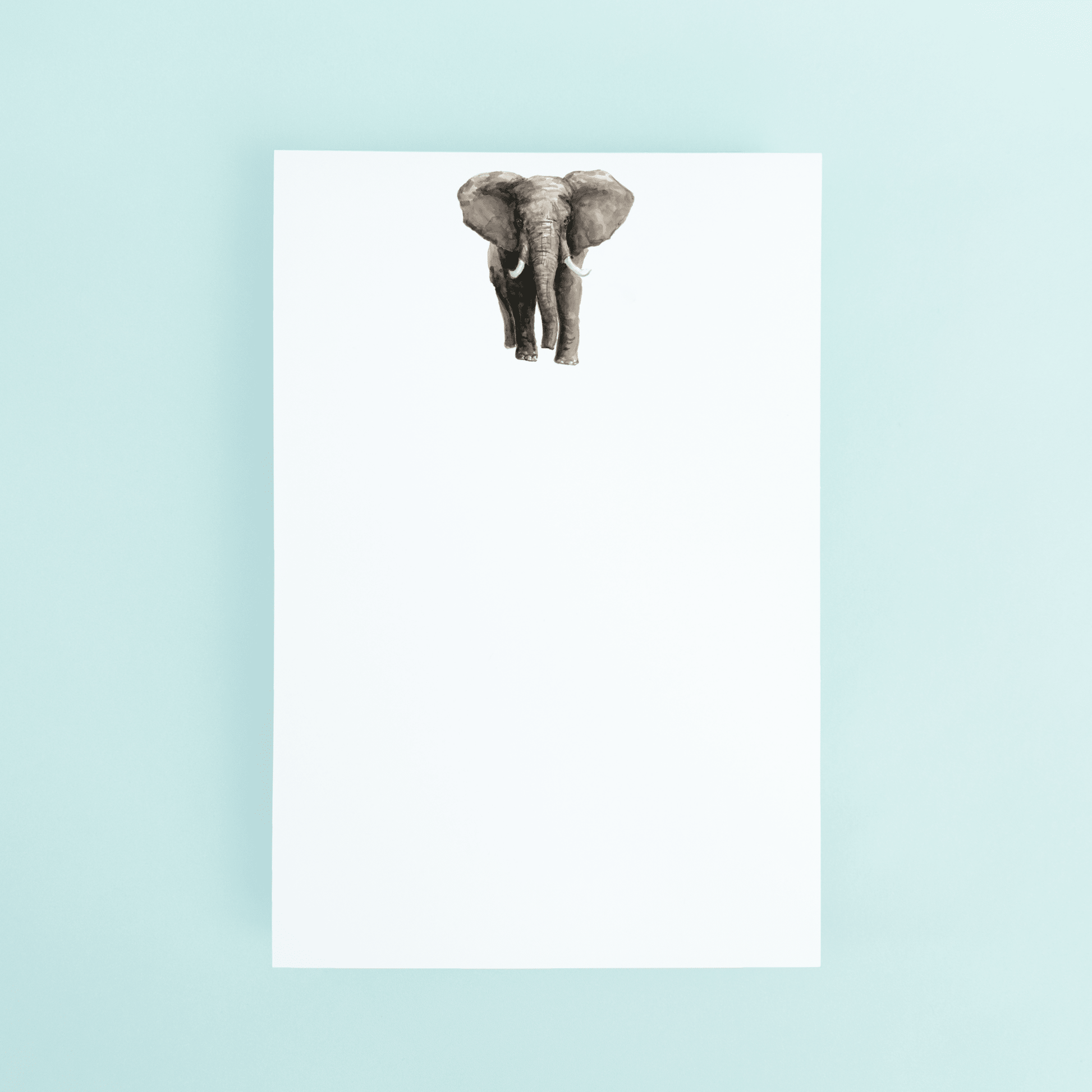 Elephant - themonogram manor 