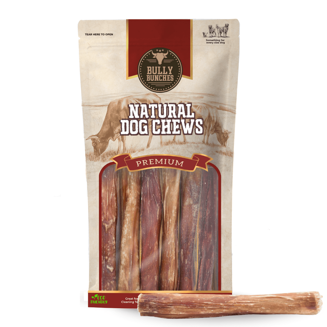 5-6 Inch Champion Chew - themonogram manor 