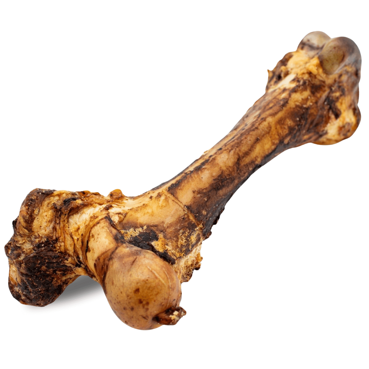 Monster Femur Bone - themonogram manor 