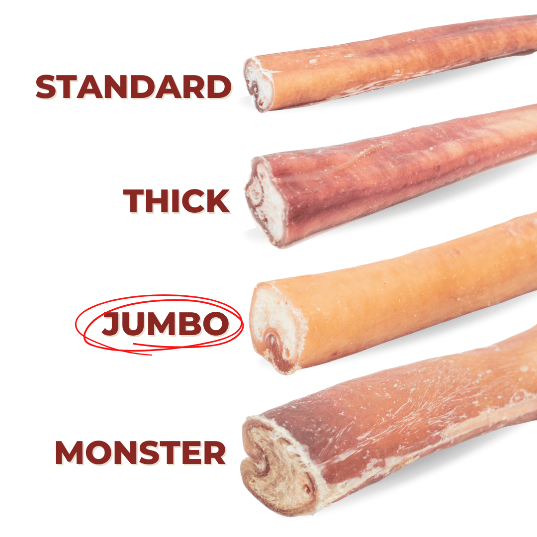 6 Inch Jumbo Bully Stick - themonogram manor 