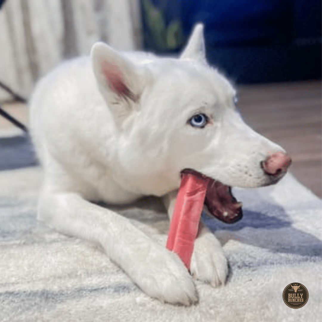 Strawberry Himalayan Yak Chew (MEDIUM) - themonogram manor 