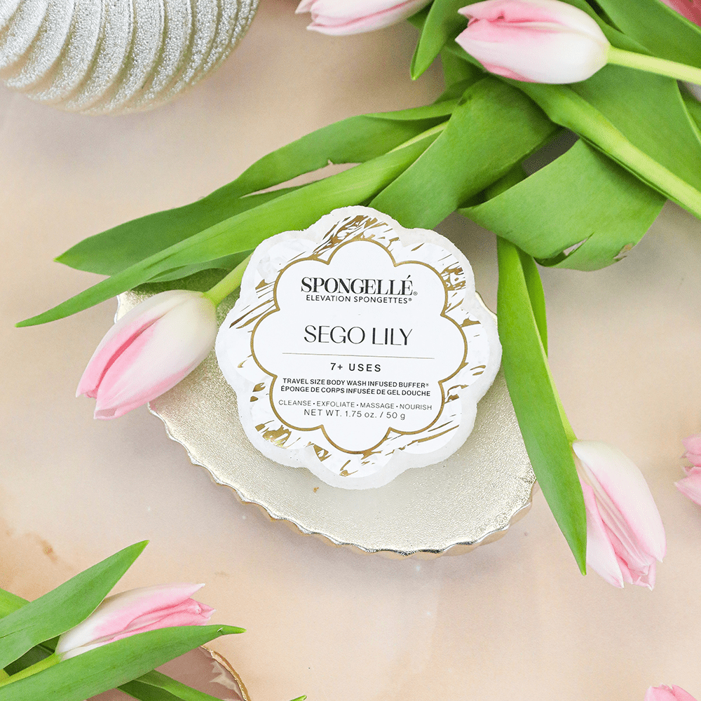 Sego Lily | Elevation Spongette - themonogram manor 