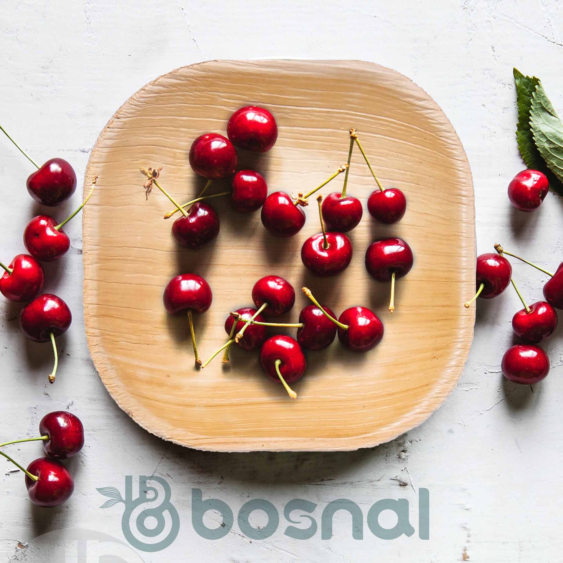 Bosnal - Palm Leaf Biodegradable Plates, 4 inch, Square - themonogram manor 
