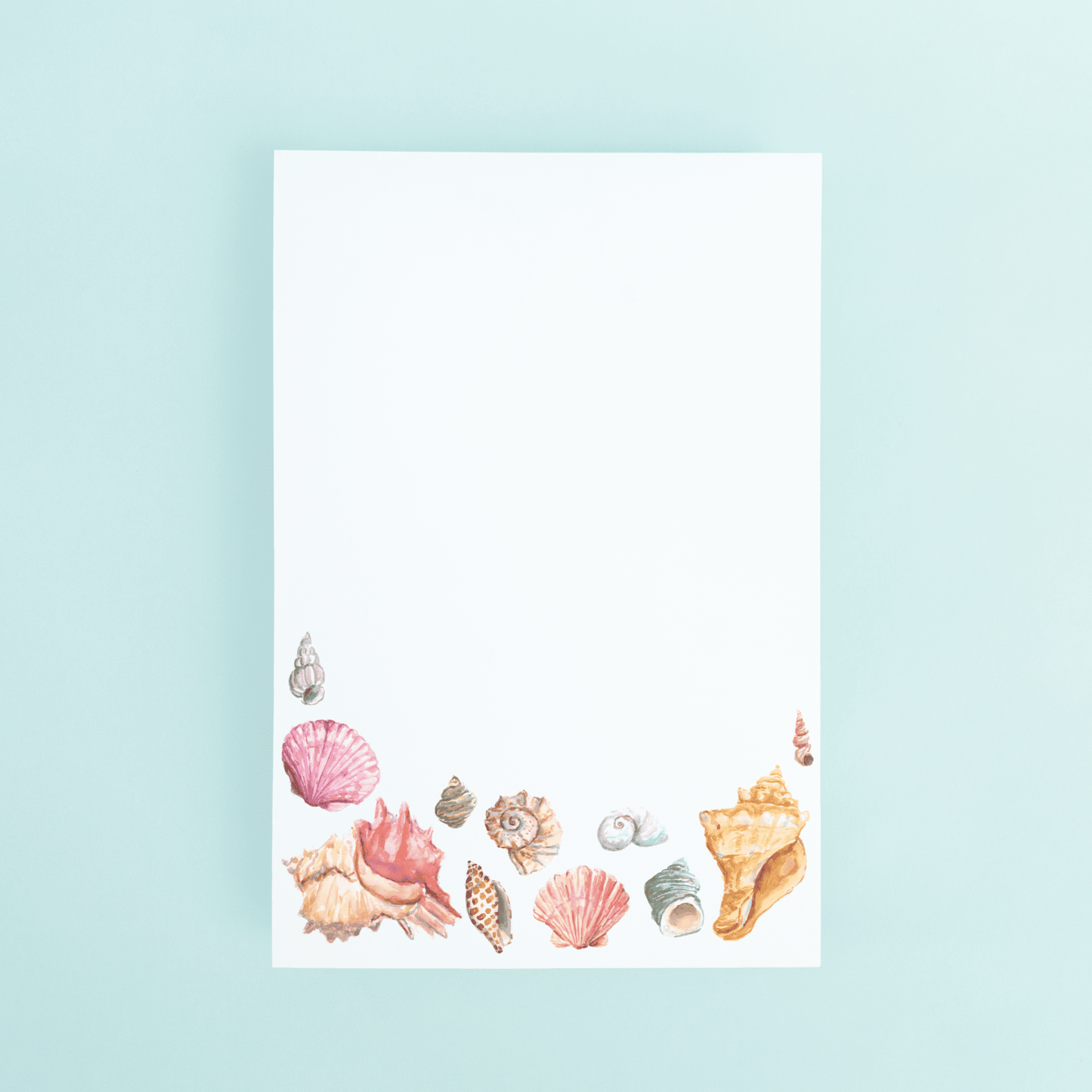Seashells - themonogram manor 