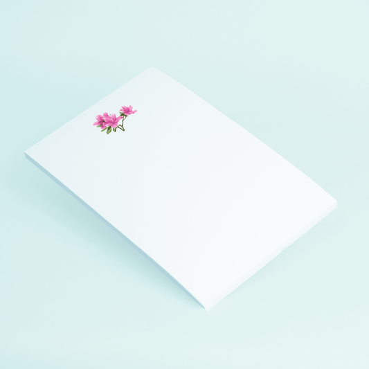 Azaleas - themonogram manor 