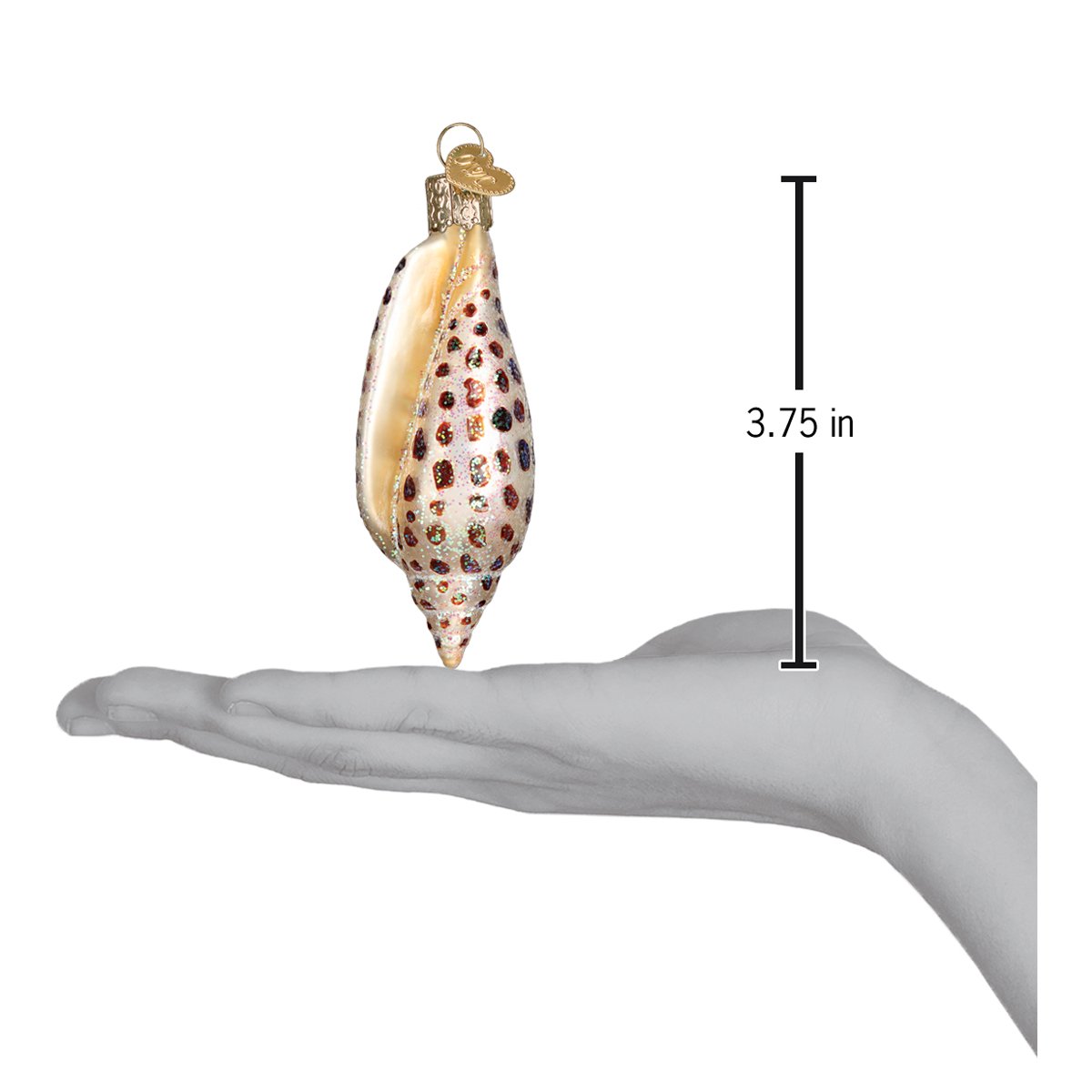 Junonia Shell Ornament - themonogram manor 