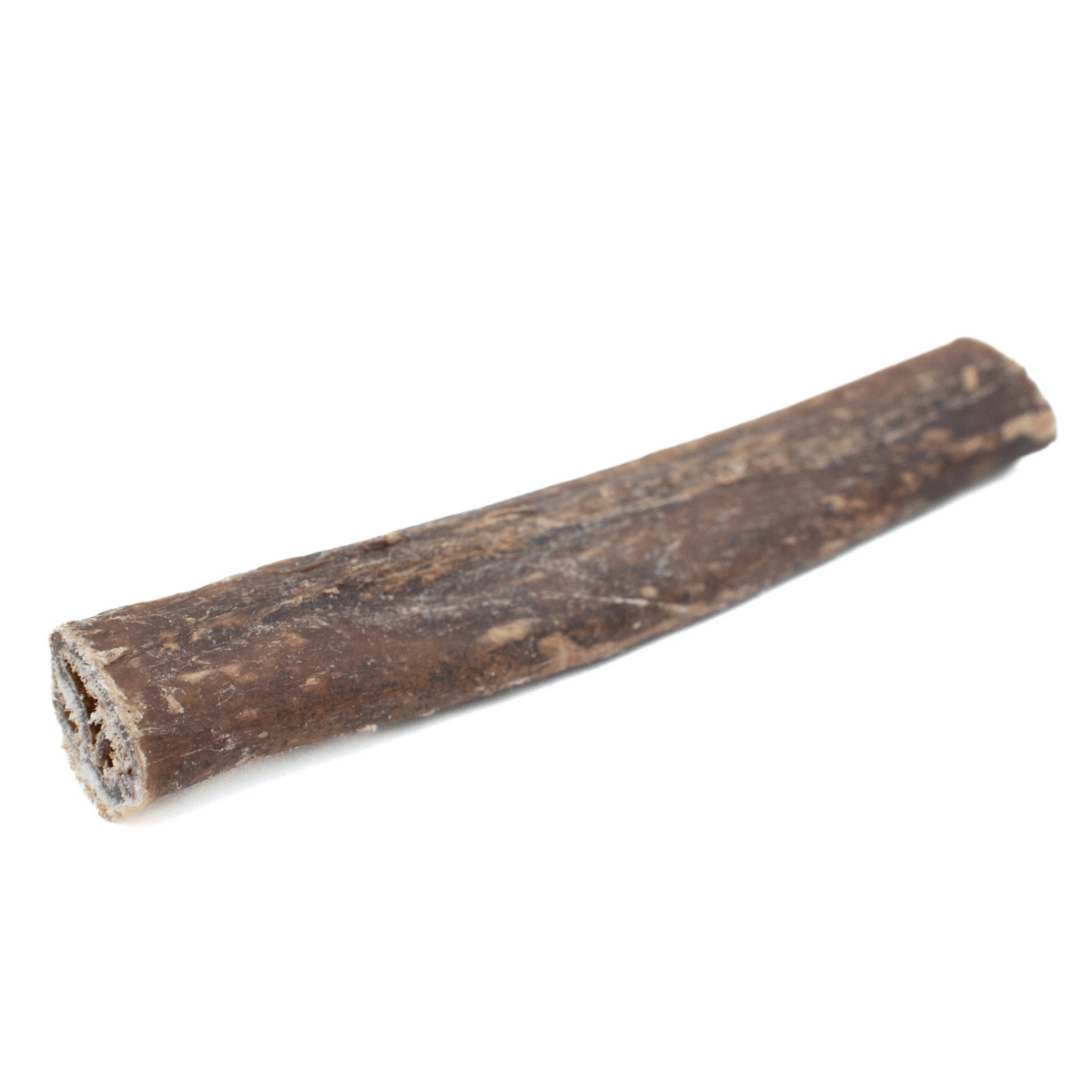 5-6 Inch Champion Chew - themonogram manor 