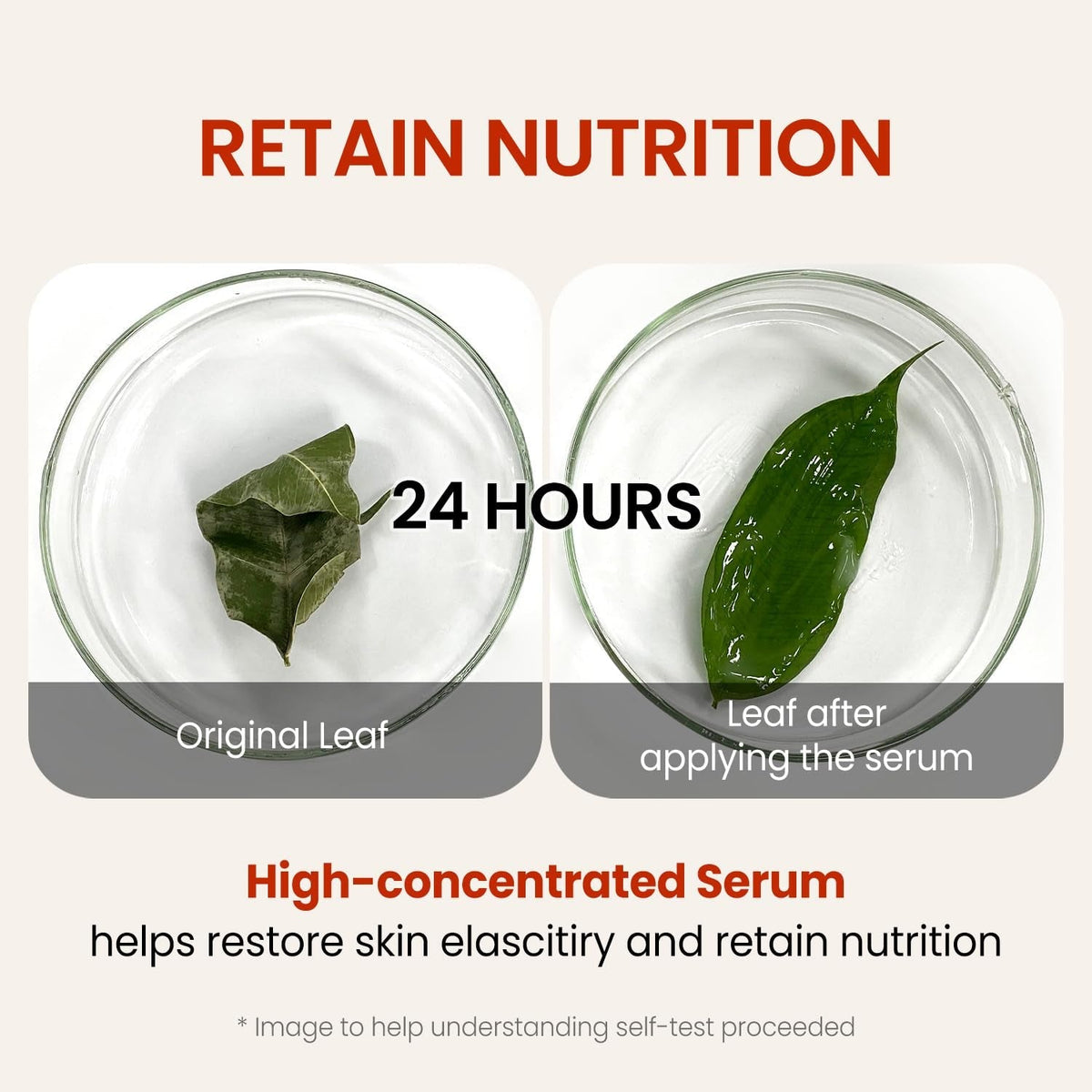 Wrinkle Supreme Serum 0.67 Fl. Oz. Trial-Size, Korean Red Ginseng, Mushrooms | Firming, Lifting, Fine Lines | Korean Skin Care, K-Beauty, 20Ml - themonogram manor 
