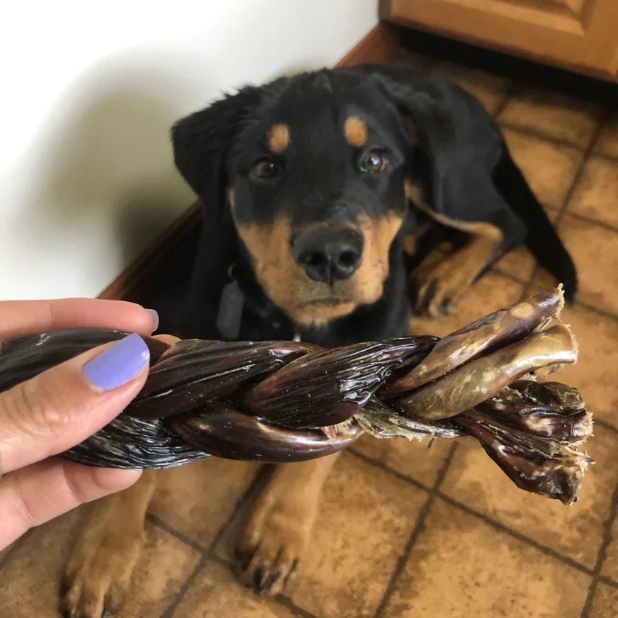 6 Inch Braided Jerky Stick - themonogram manor 