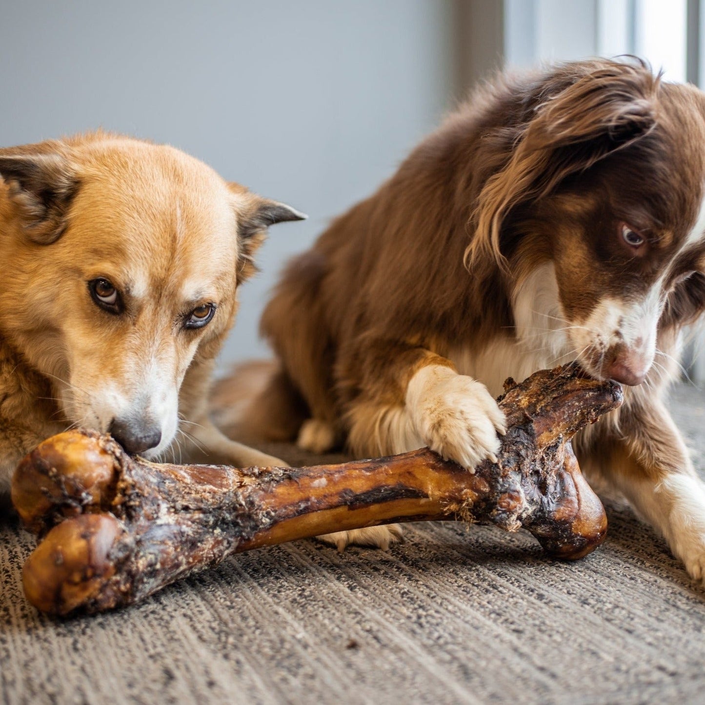Monster Femur Bone - themonogram manor 
