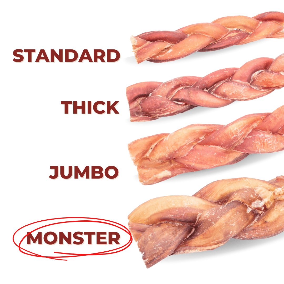 12 Inch Monster Braided Bully Stick - themonogram manor 