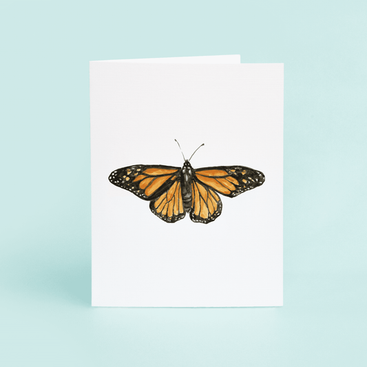 Monarch Butterfly - themonogram manor 