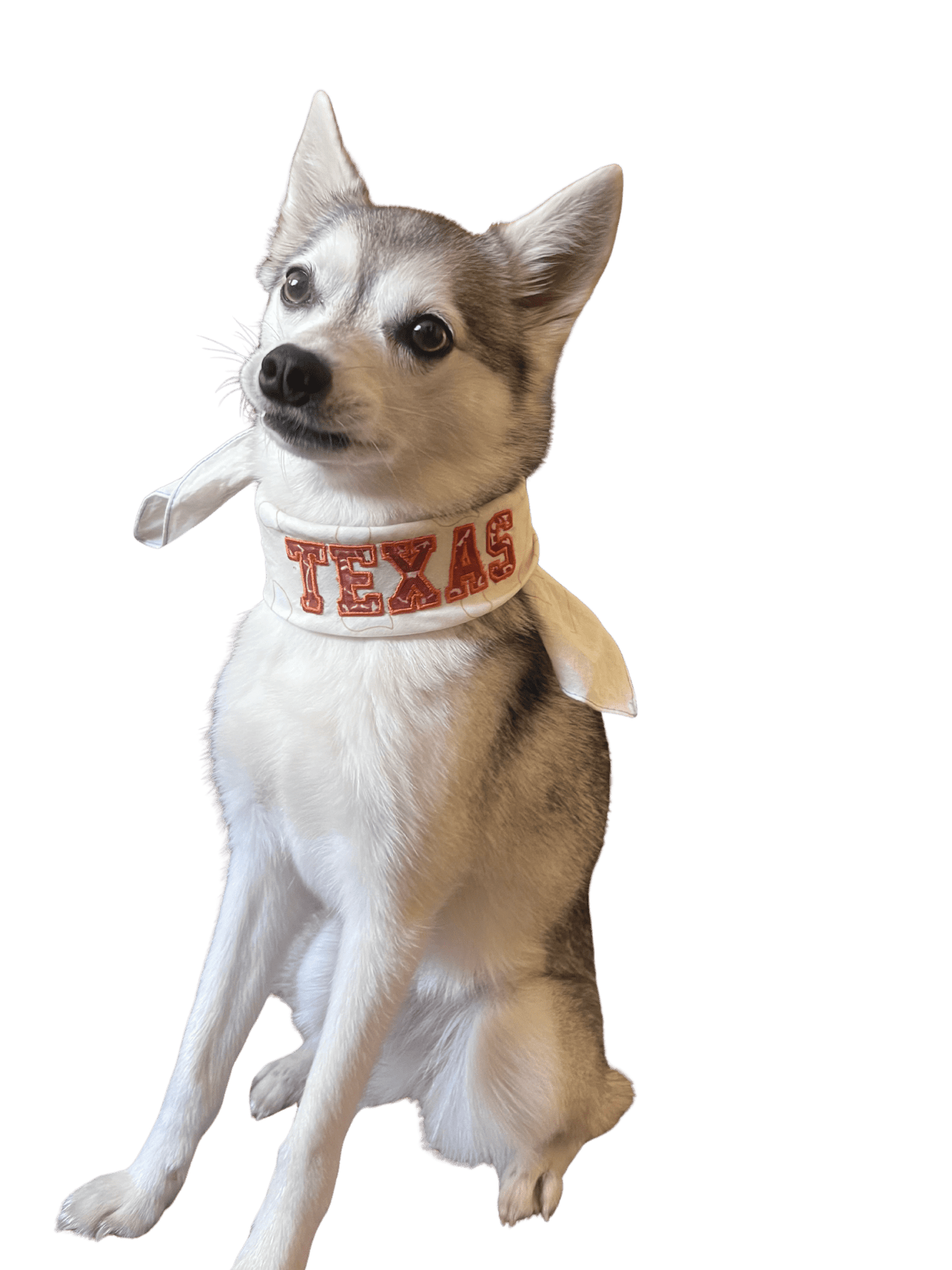 Fan Bandana - themonogram manor 
