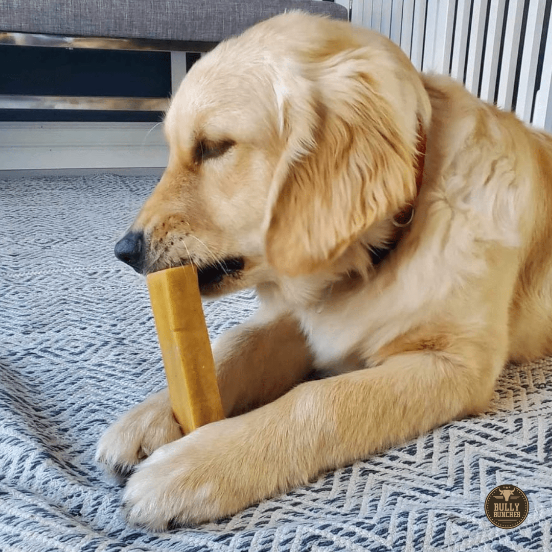 Himalayan Yak Chew (LARGE) - themonogram manor 