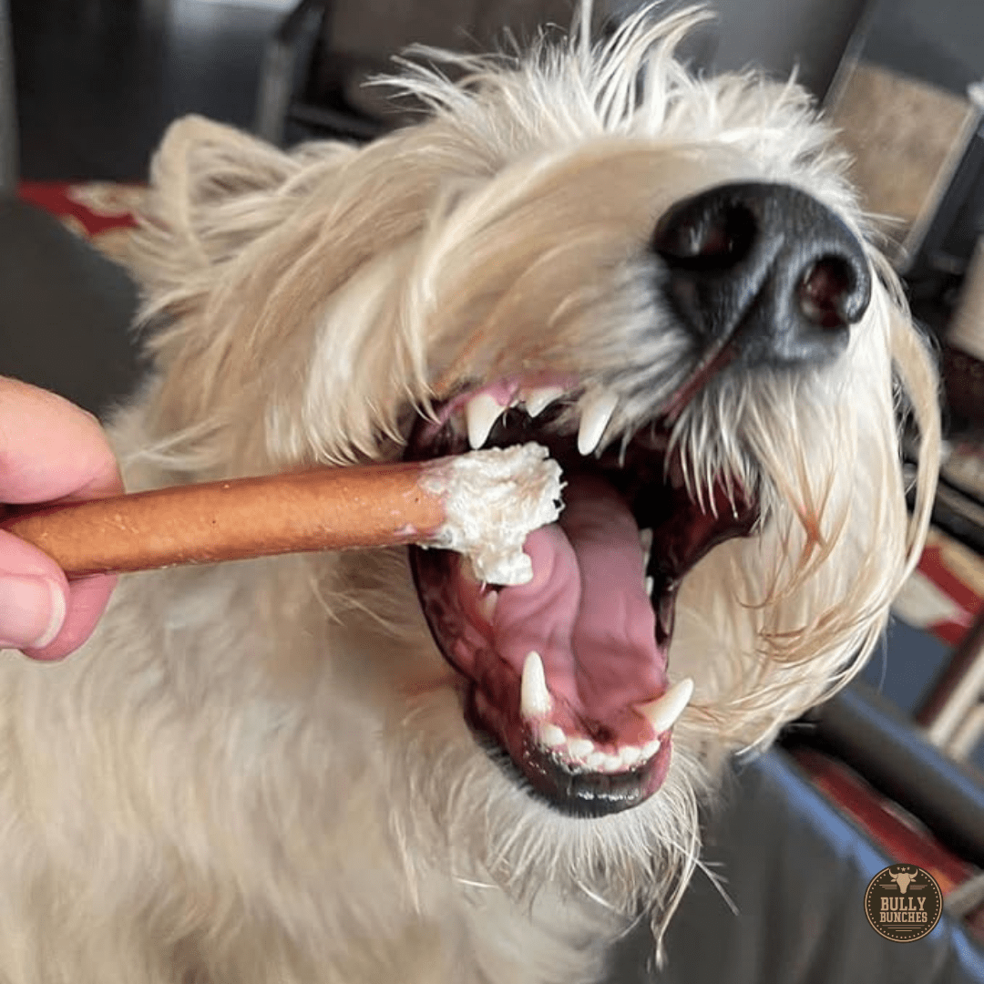 6 Inch Standard Bully Stick - themonogram manor 