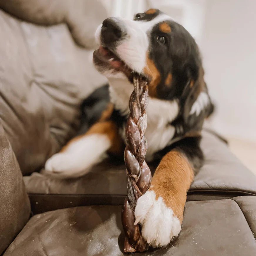 12 Inch Braided Jerky Stick - themonogram manor 