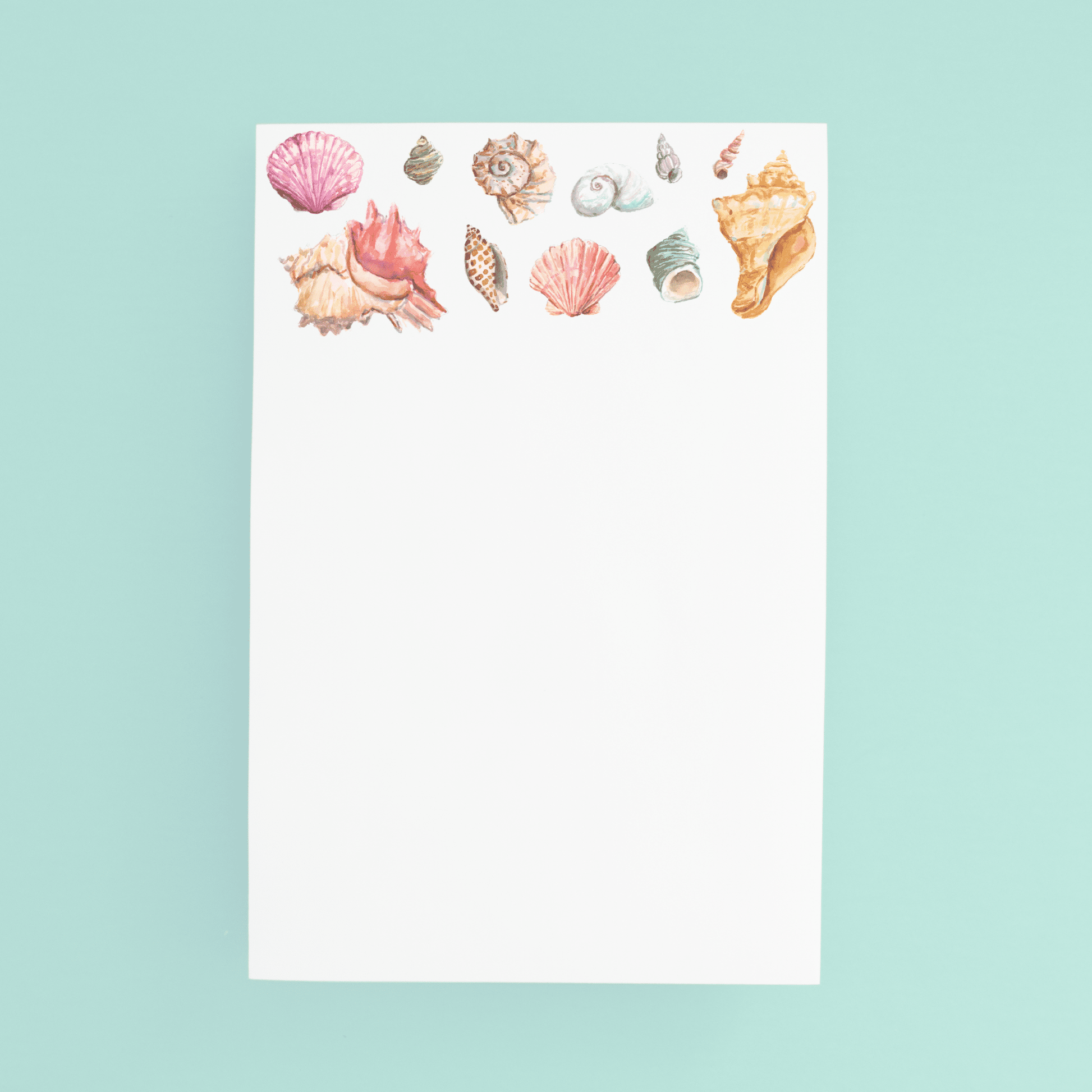 Seashell Jumbo Pad - themonogram manor 