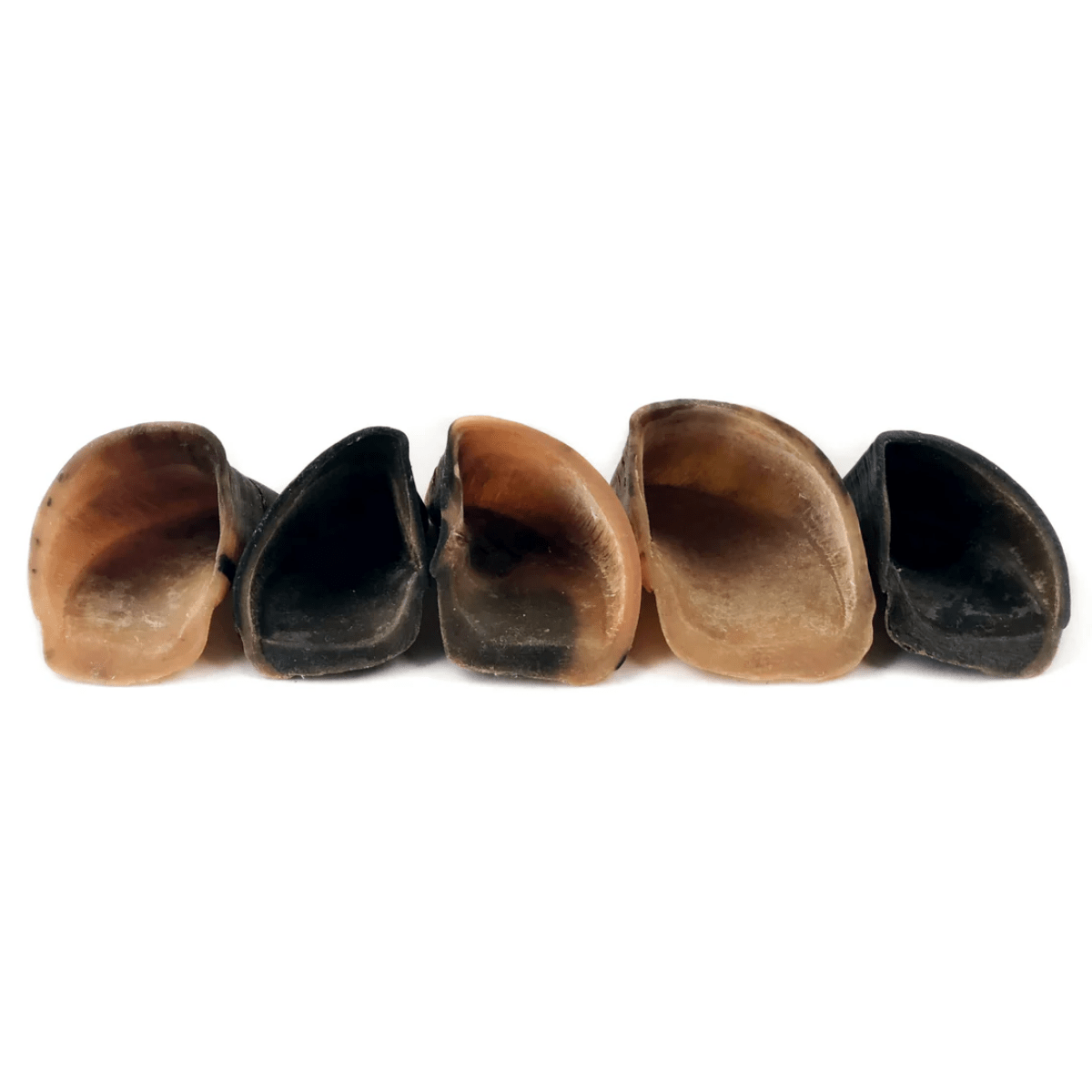 Cow Hooves - themonogram manor 