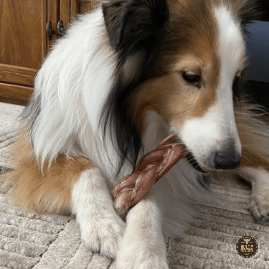 6 Inch Thick Braided Bully Stick - themonogram manor 