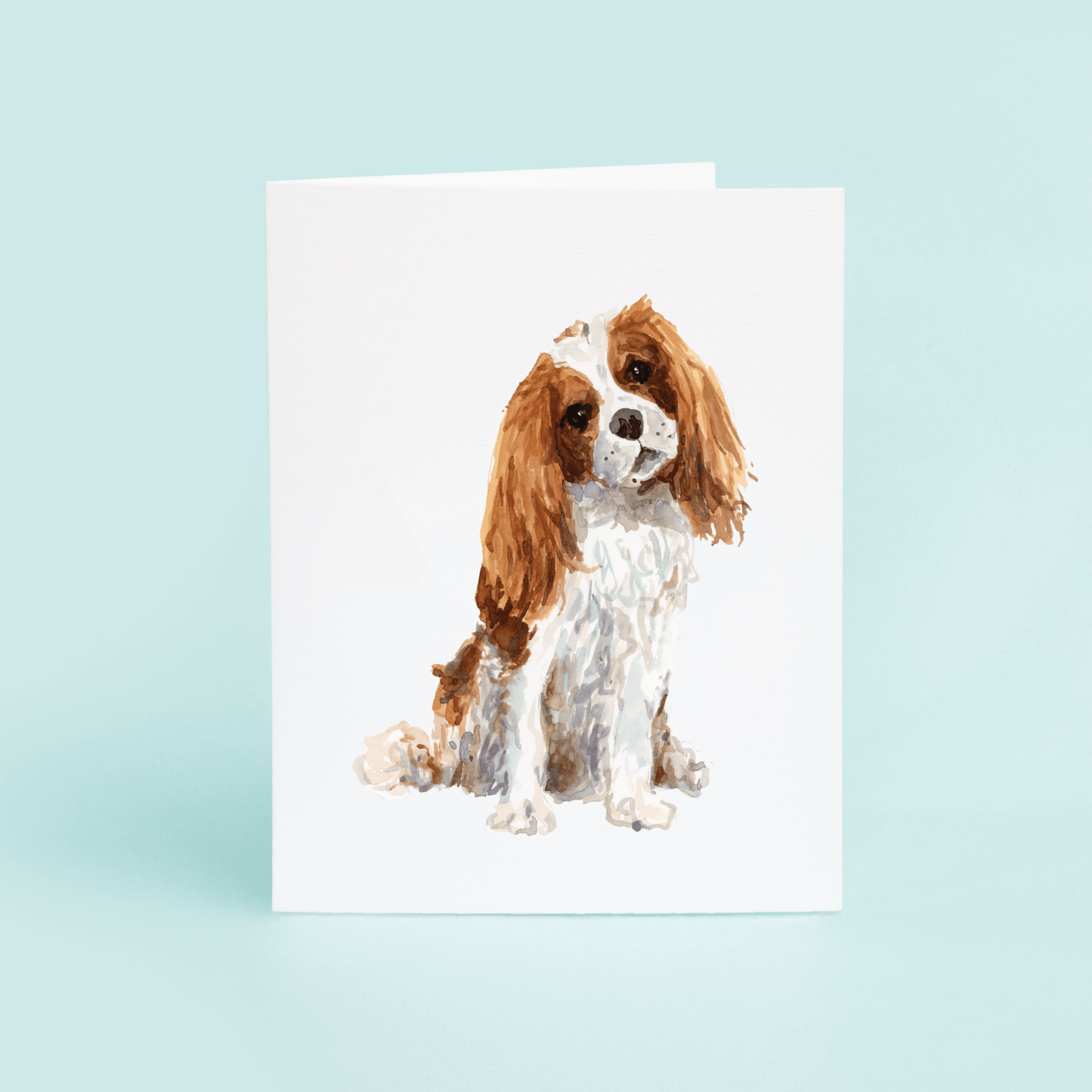 Cavalier King Charles - themonogram manor 