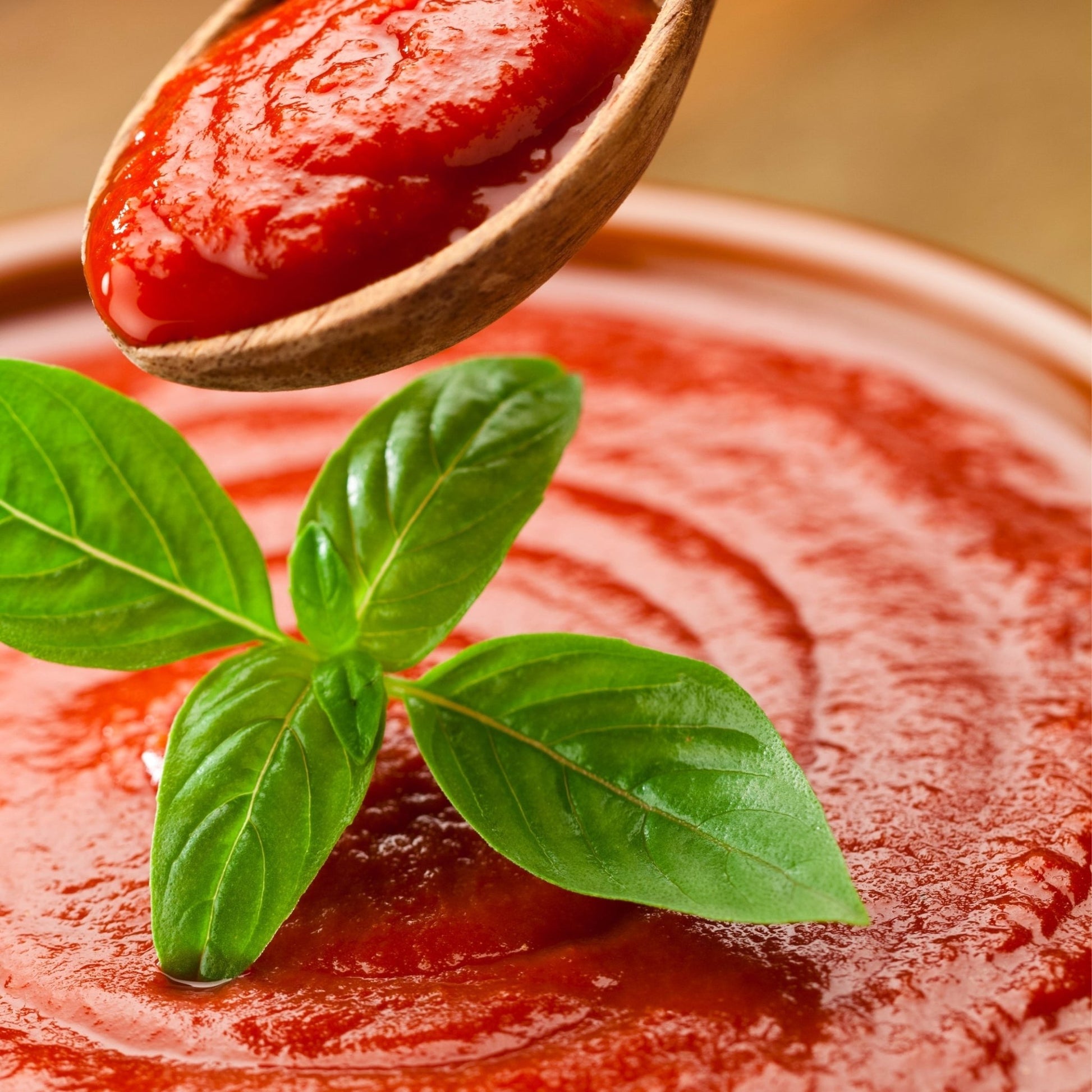 Tomato Sauce - themonogram manor 