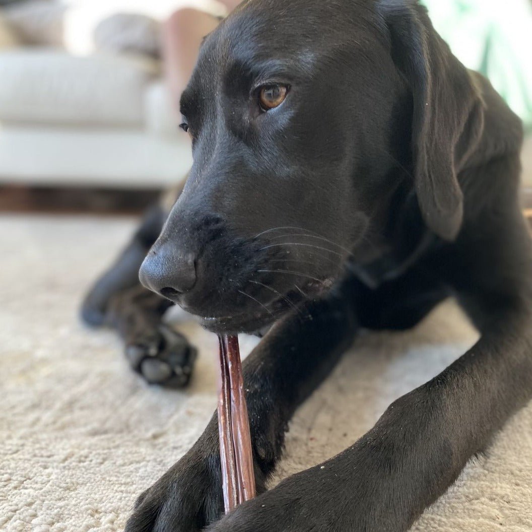 12 Inch Beef Jerky Stick - themonogram manor 