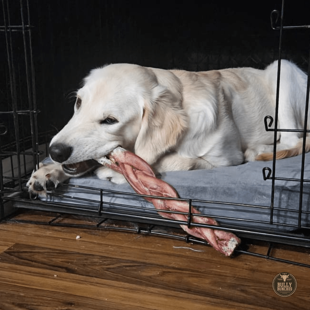 12 Inch Monster Braided Bully Stick - themonogram manor 