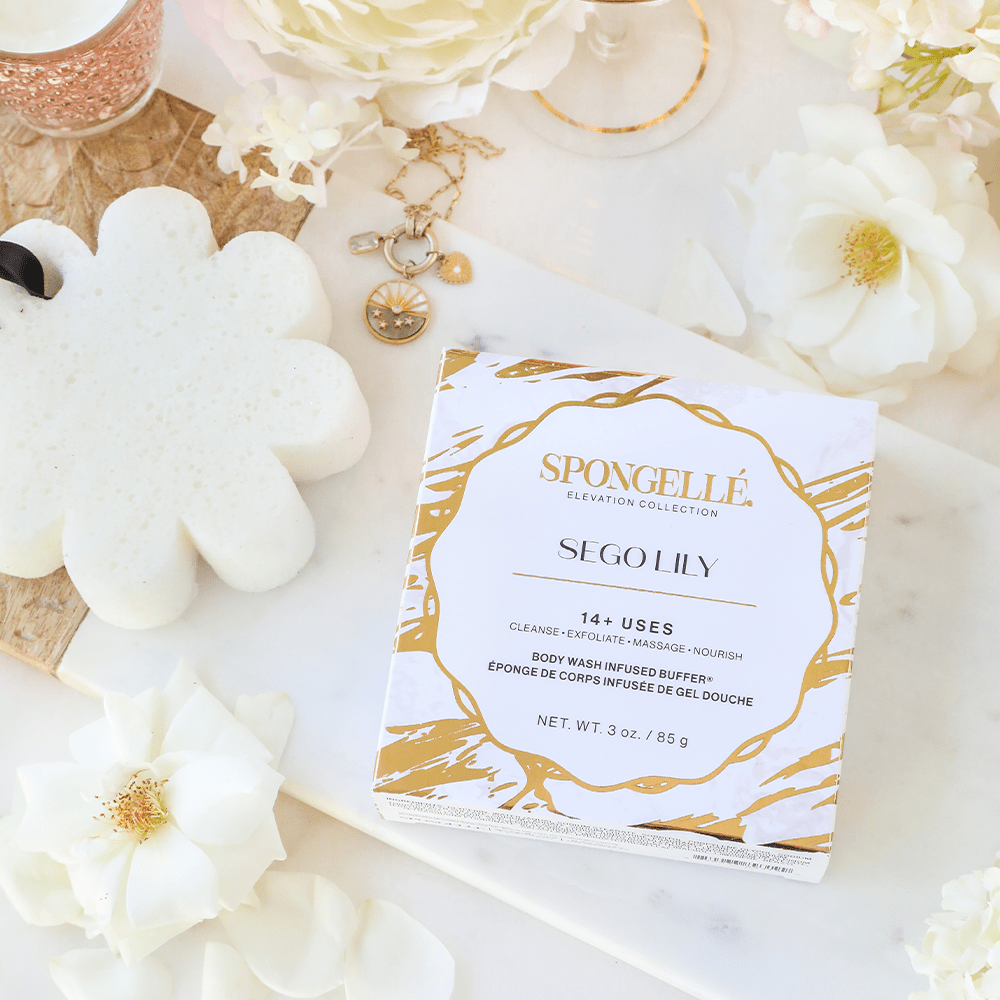 Sego Lily | Elevation Boxed Flower - themonogram manor 
