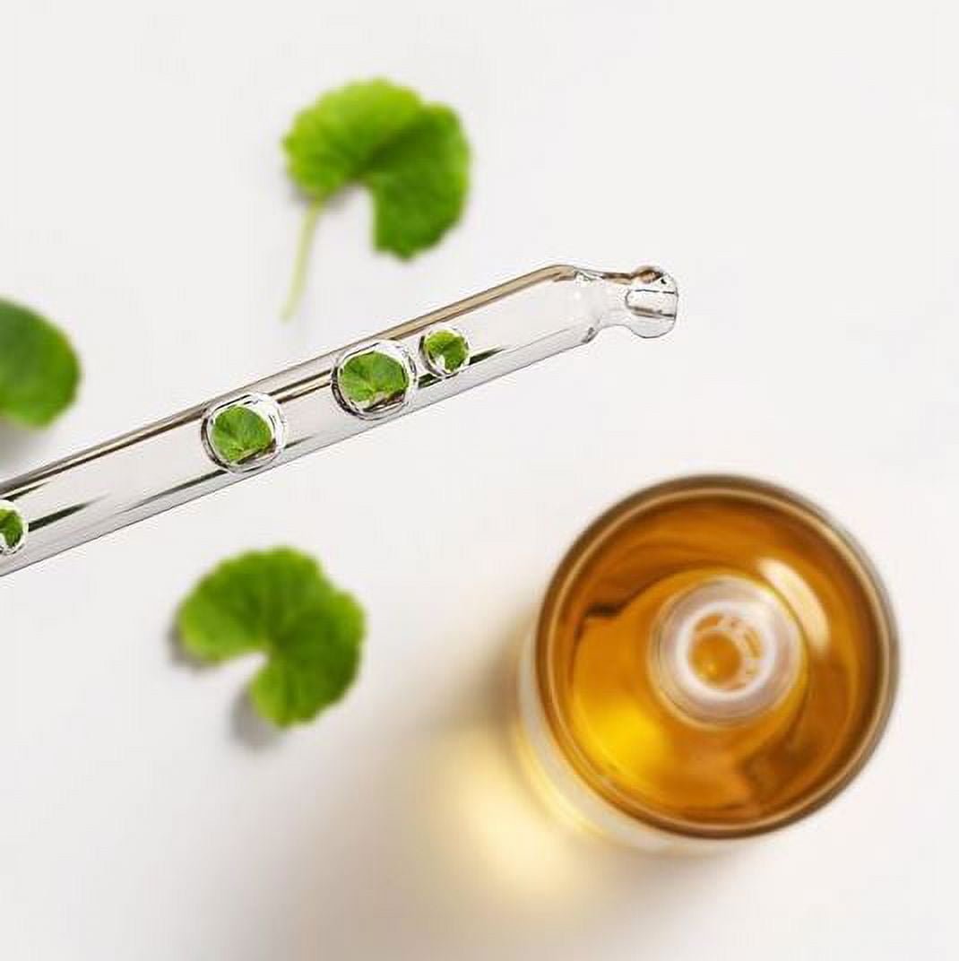 Madagascar Centella Ampoule 100Ml - themonogram manor 