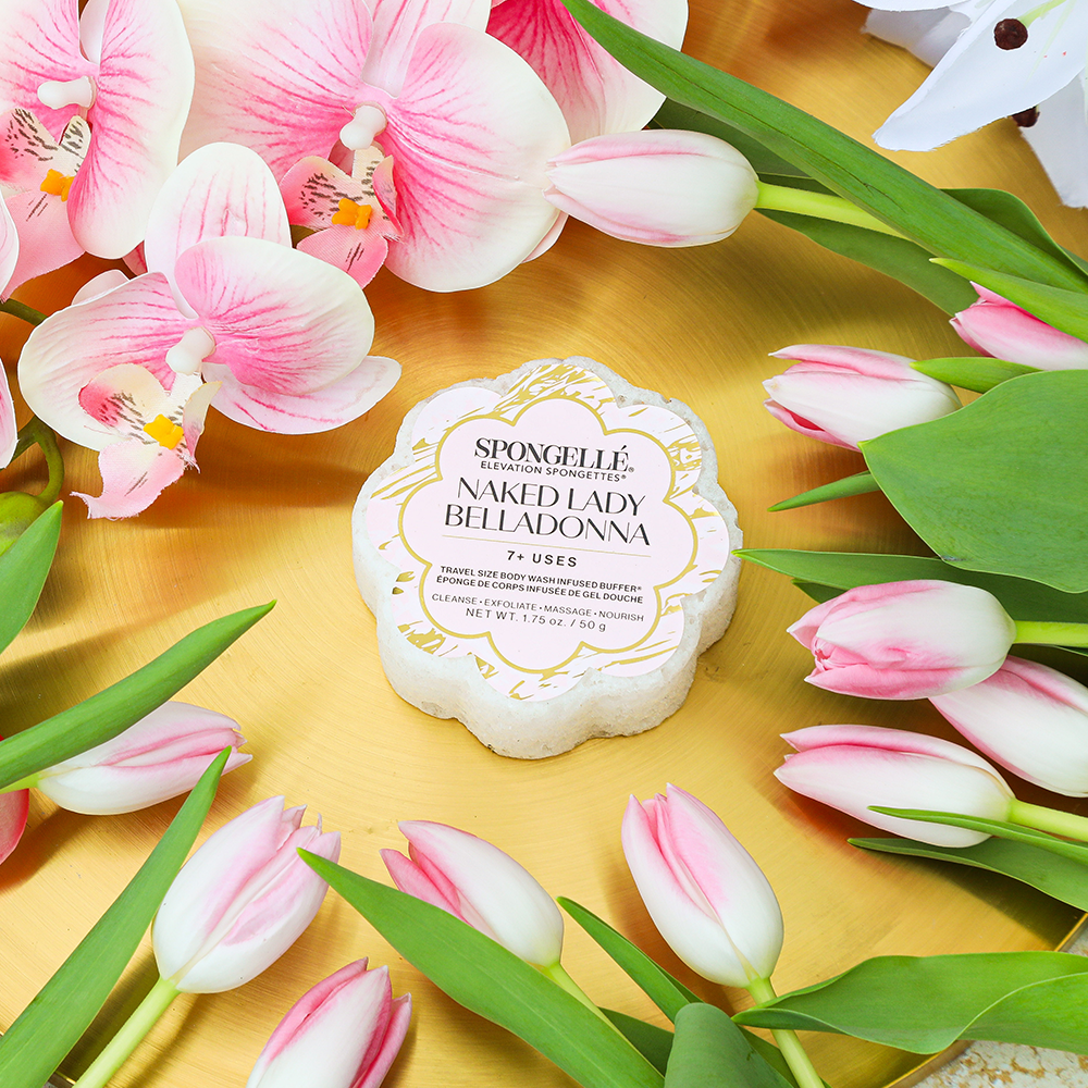 Naked Lady Belladonna | Elevation Spongette - themonogram manor 
