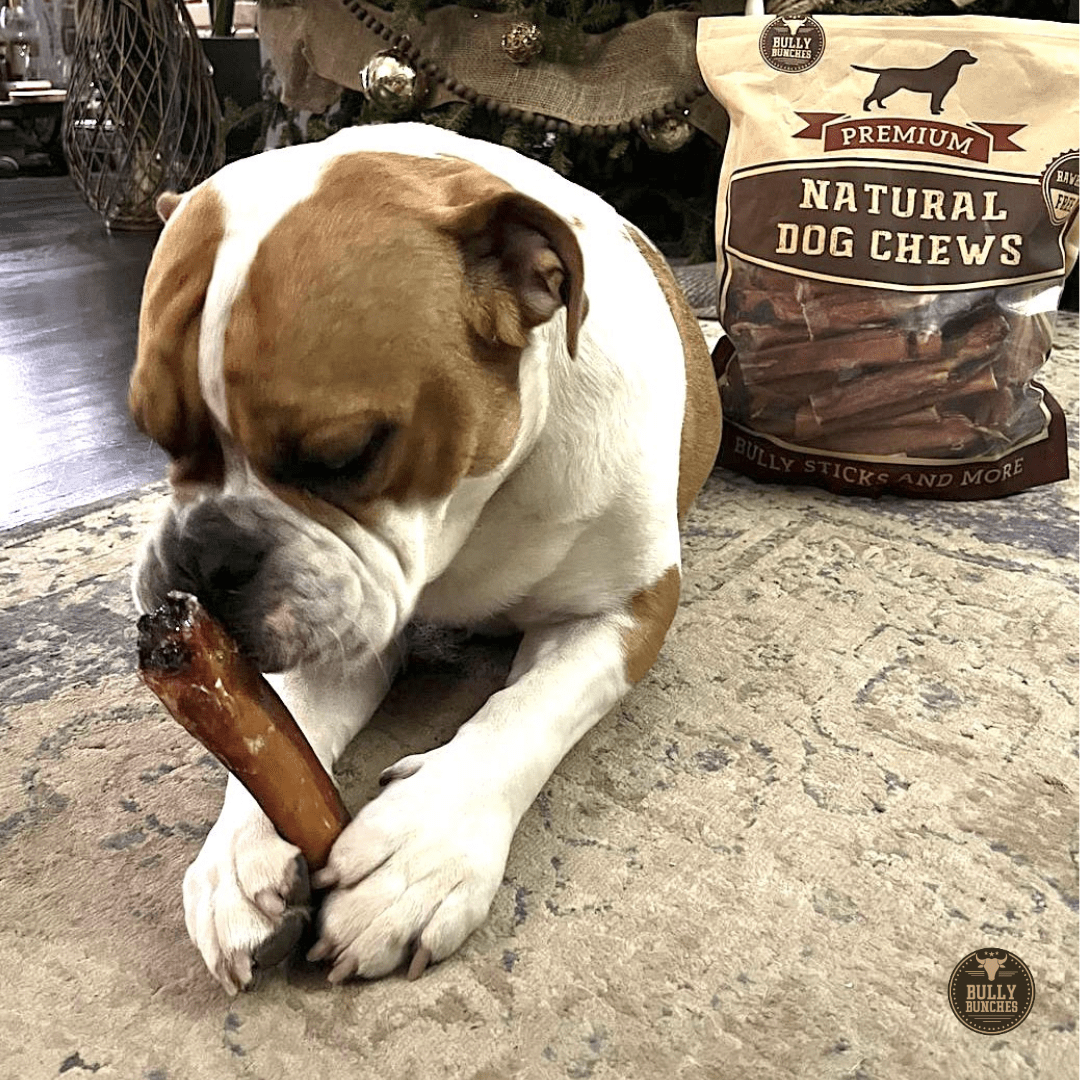 6 Inch Monster Bully Stick - themonogram manor 