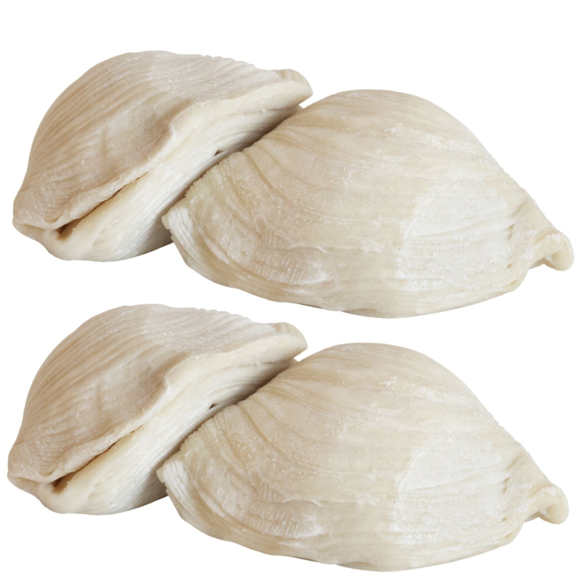Large Italian Sfogliatelle Take and Bake Pastries - themonogram manor 