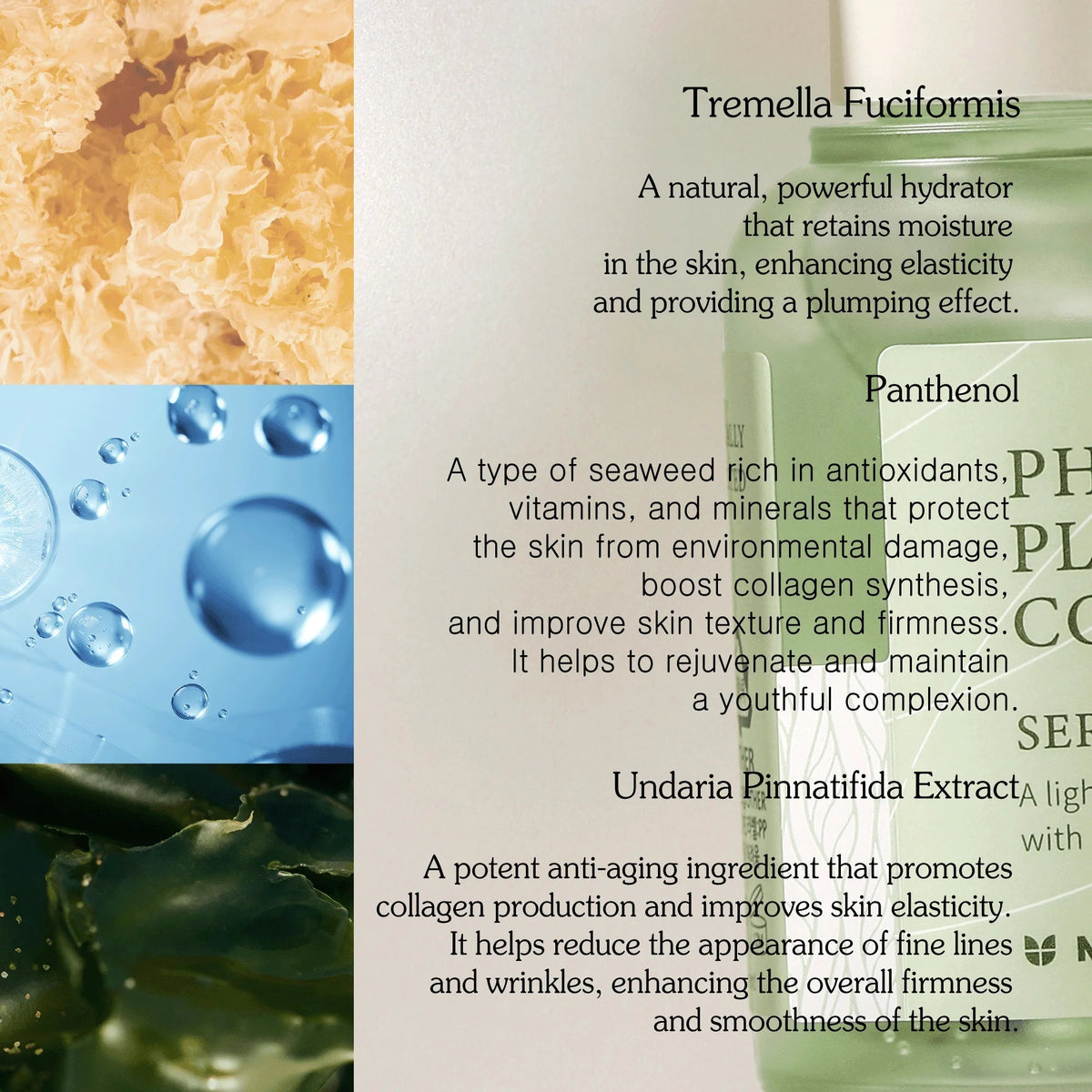 Phyto Plump Collagen Serum 1.01 Fl.Oz. - Hydrating, Anti-Aging, Soothing & Firming, Vegan Skincare Solution Based on Tremella Fuciformis with Natural Extracts - themonogram manor 
