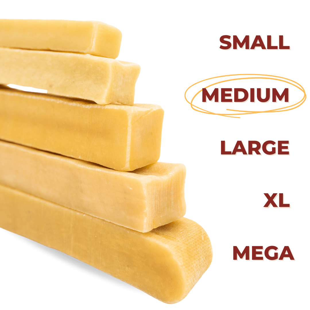 Himalayan Yak Chew (MEDIUM) - themonogram manor 