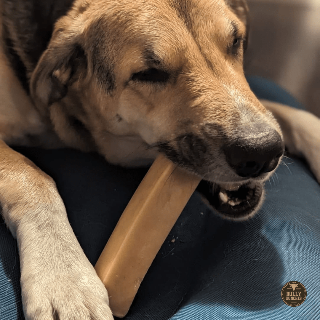 Himalayan Yak Chew (MEGA) - themonogram manor 